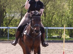 IMG_1812_web